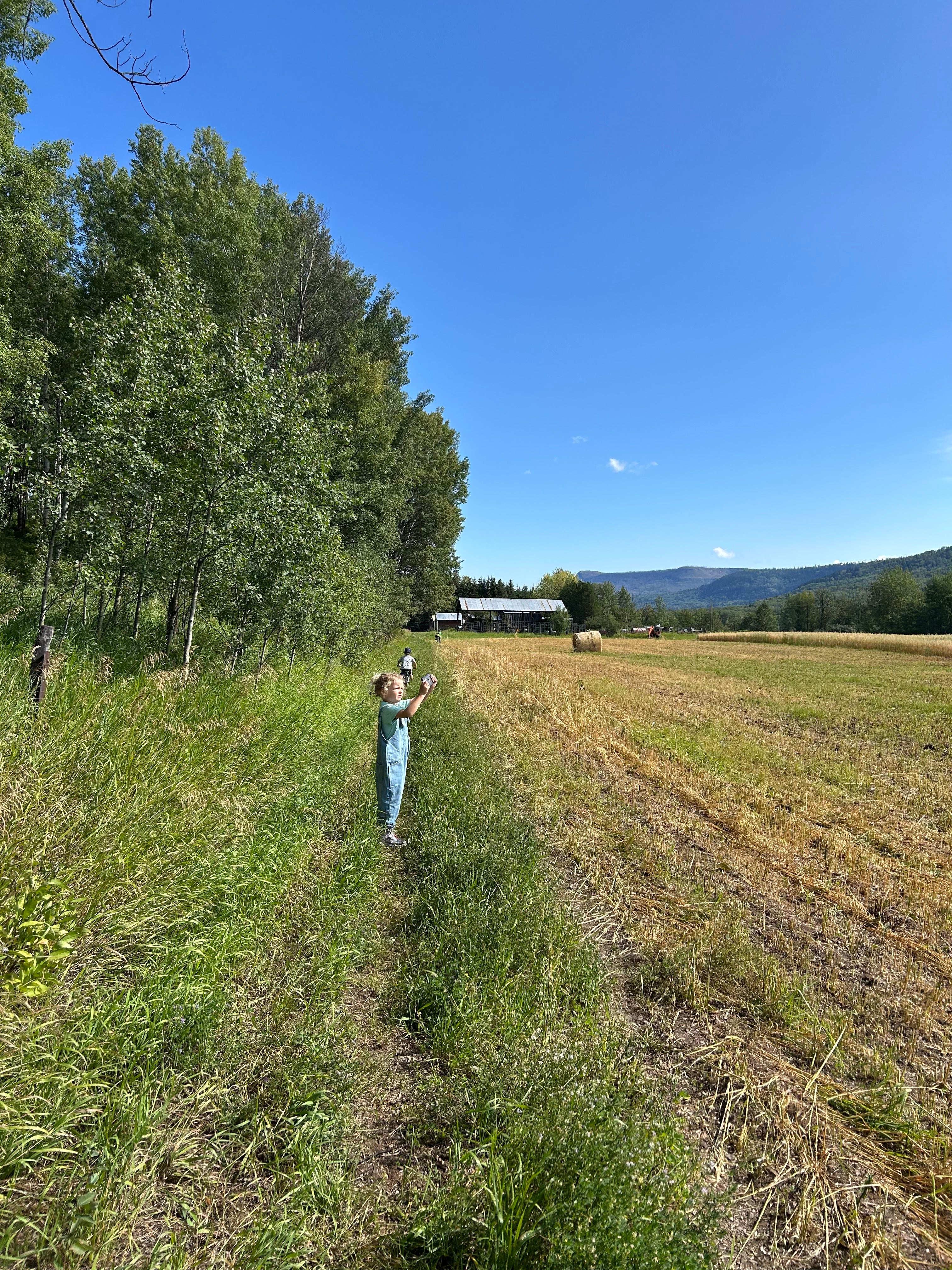 Small girl standing beside wheat field