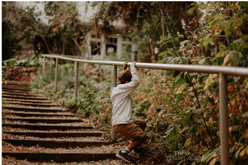 Child climbing a metal railing in a garden setting