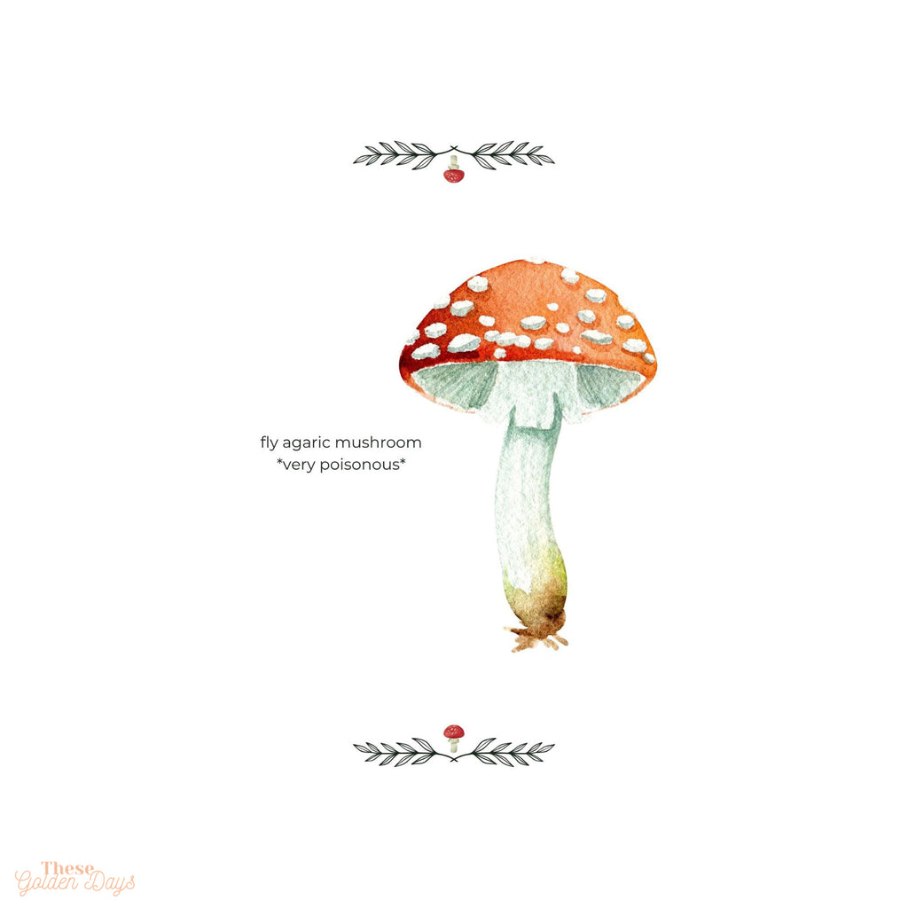 The Watercolour Journal: Woodland Edition (Capable Painter)