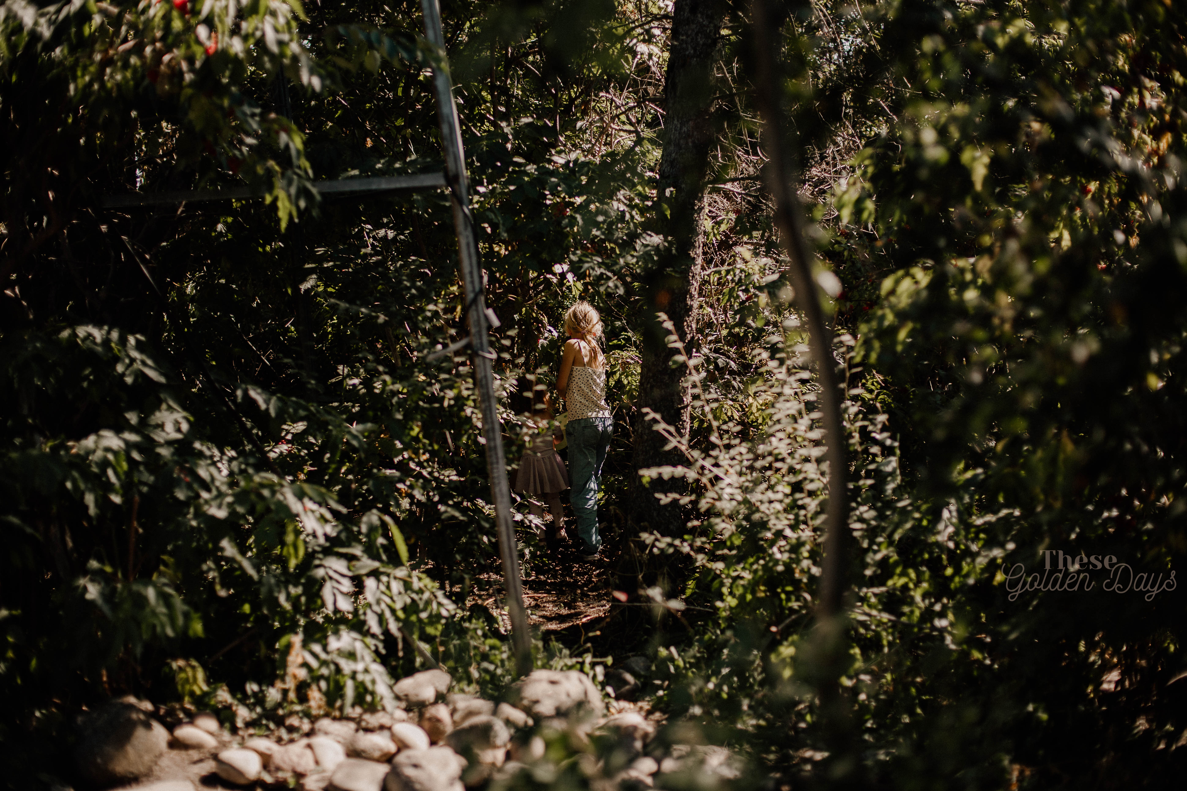 Children playing in the forest