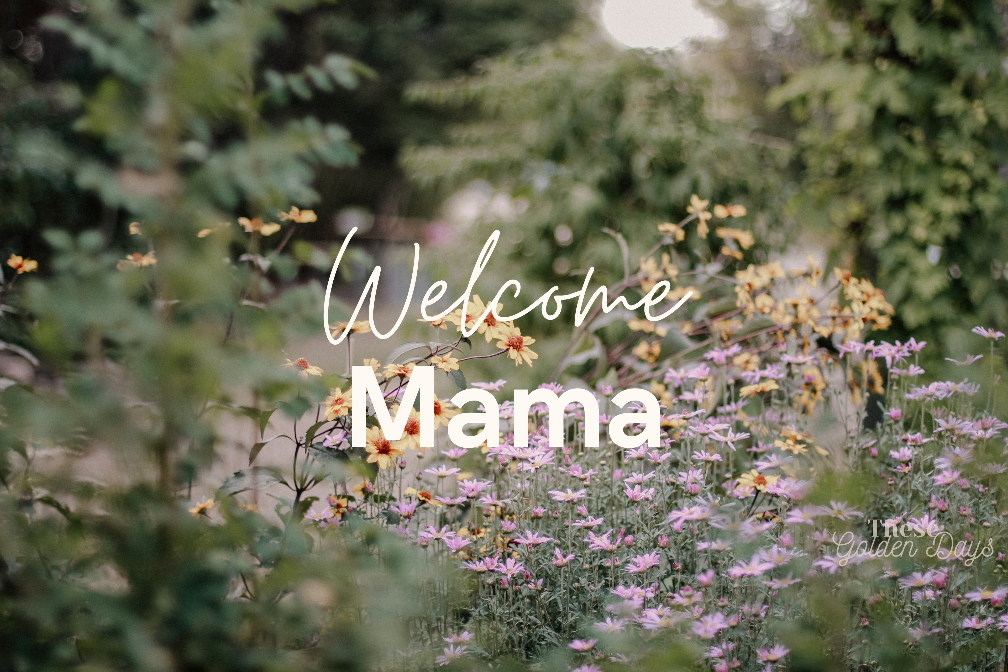Floral garden with 'Welcome Mama' text overlay